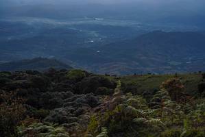 BIB: 
                            <button type="button" onclick="openModal(19014385)" class="btn btn-primary btn-sm float-right btn-popup" data-toggle="modal" data-target=".modal-high-quality">
                        <i class="fas fa-shopping-cart"></i> Add to Cart
                    </button>
                                            <button type="button" onclick="isThisMe(19014385, true)" class="btn btn-success btn-sm float-right btn-popup btn-isme hidden" data-toggle="tooltip" data-placement="bottom" title="นี่คือรูปของคุณใช่ไหม คลิกที่นี่เพื่อเอาเข้าอัลบั้ม">
                        <i class="fas fa-plus"></i> Add to album
                    </button>
                    <button type="button" onclick="isThisMe(19014385, false)" class="btn btn-warning btn-sm float-right btn-popup btn-isnotme hidden">
                        <i class="fas fa-ban"></i> Remove from album
                    </button>